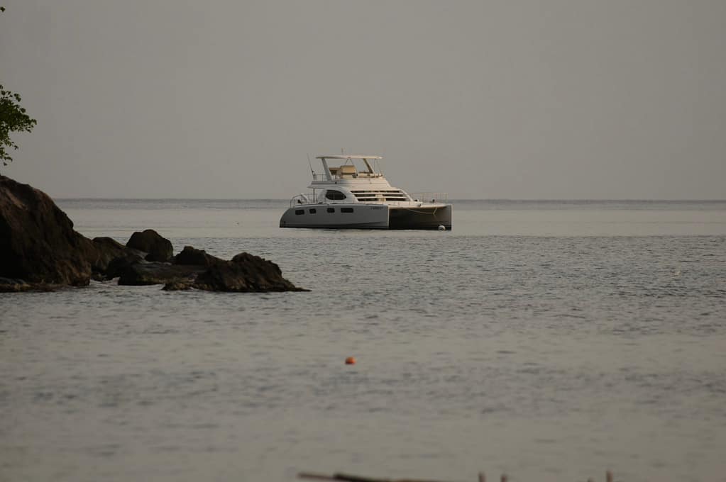 SONY DSC